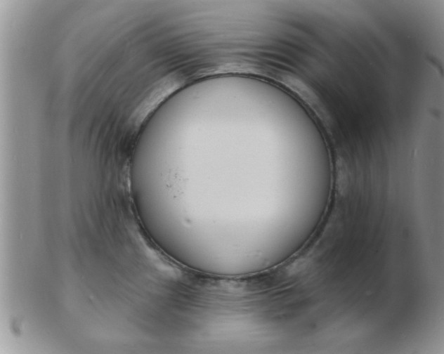 X0000103301241200809122023