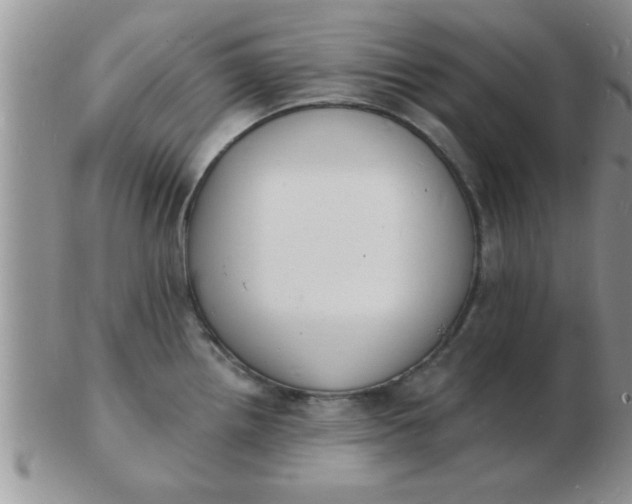 X0000103301242200809122023