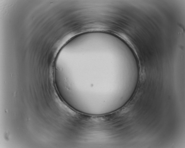 X0000103301243200809122023