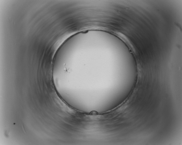 X0000103301244200809122023