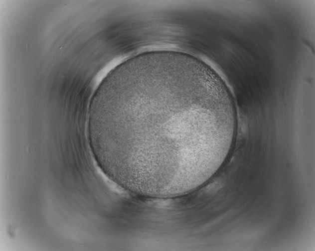 X0000103301245200809122023