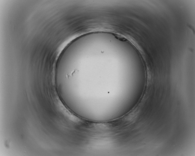 X0000103301246200809122023