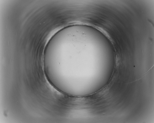 X0000103301247200809122023