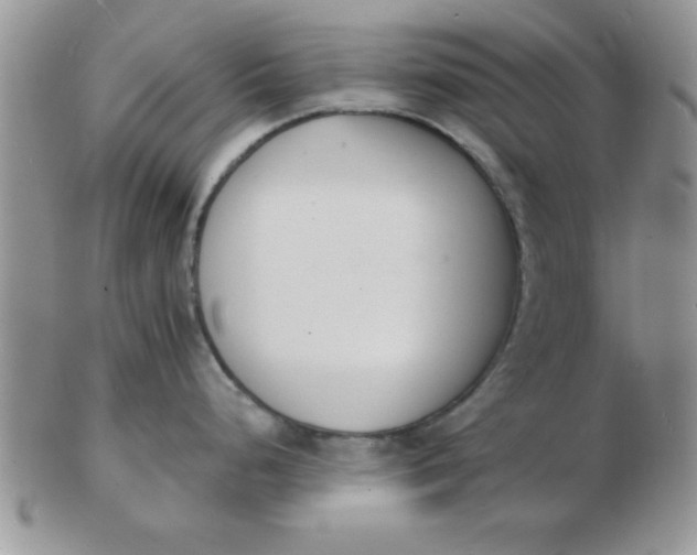 X0000103301248200809122023