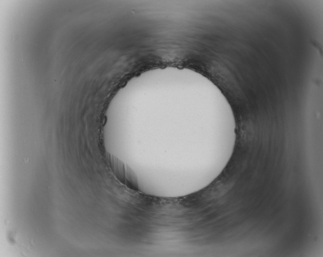 X0000103301249200809122022