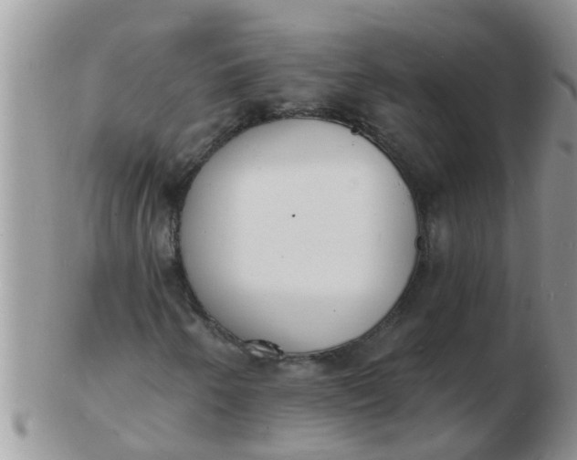 X0000103301250200809122022