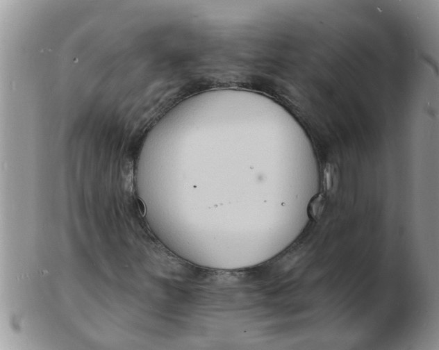 X0000103301251200809122022