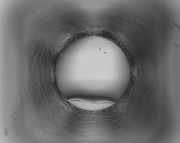 X0000103301252200809122022