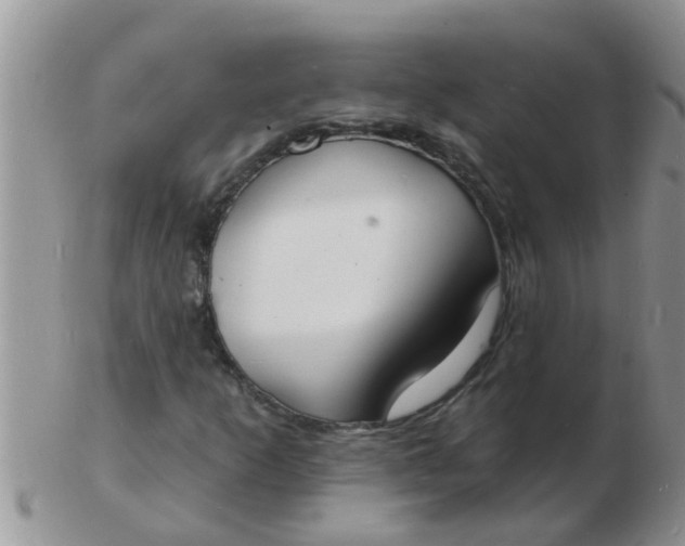 X0000103301253200809122022