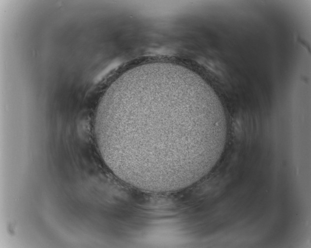 X0000103301254200809122022