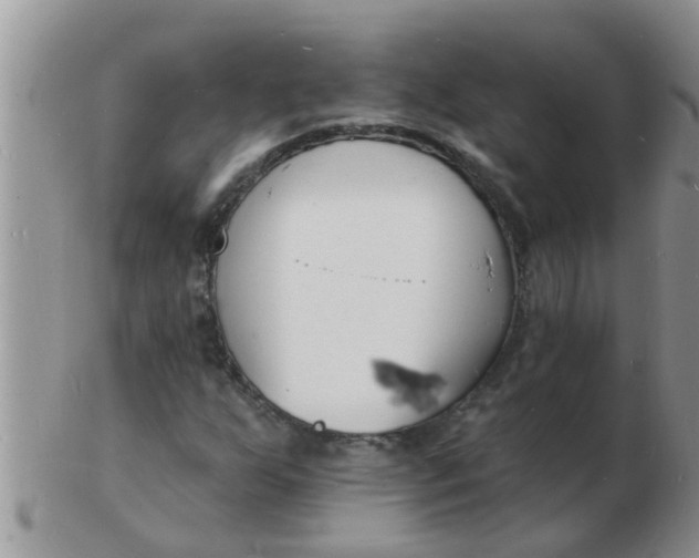 X0000103301255200809122022