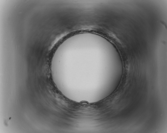 X0000103301256200809122022