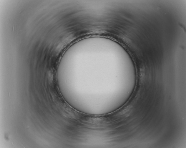 X0000103301257200809122022