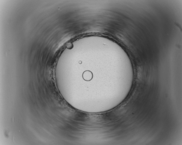 X0000103301258200809122022