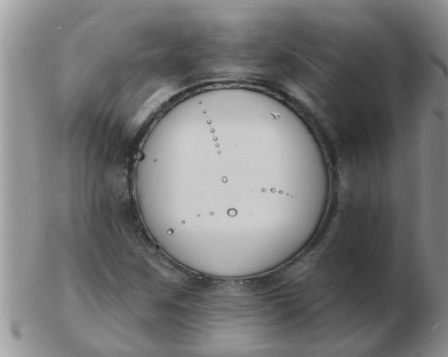 X0000103301259200809122022