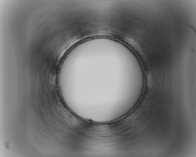 X0000103301260200809122022