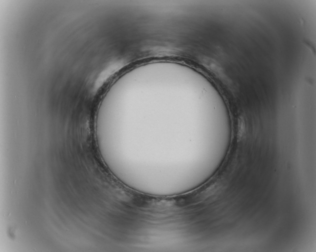 X0000103301261200809122022