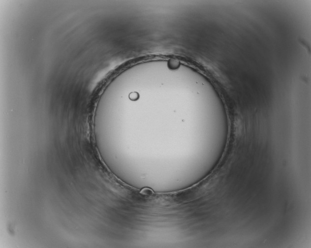 X0000103301262200809122022