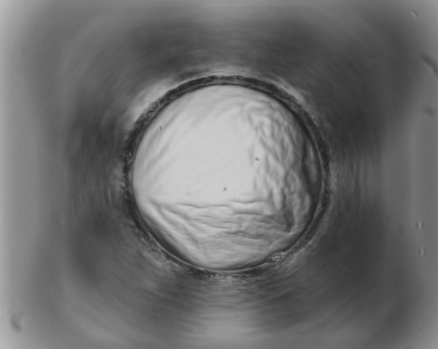 X0000103301263200809122022