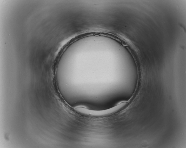 X0000103301264200809122022