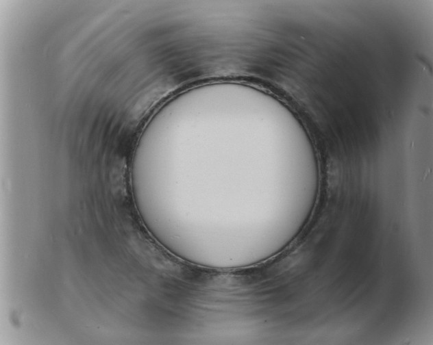 X0000103301265200809122022