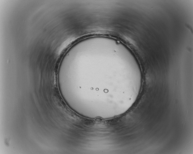 X0000103301267200809122022