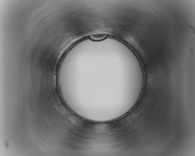 X0000103301268200809122022