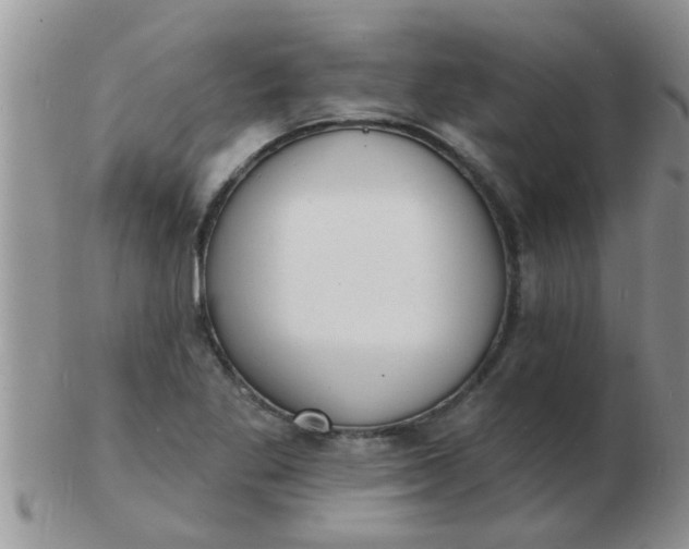 X0000103301269200809122022