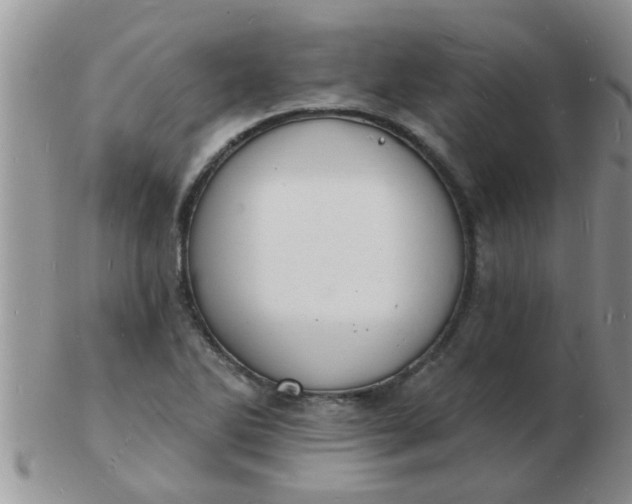 X0000103301270200809122022