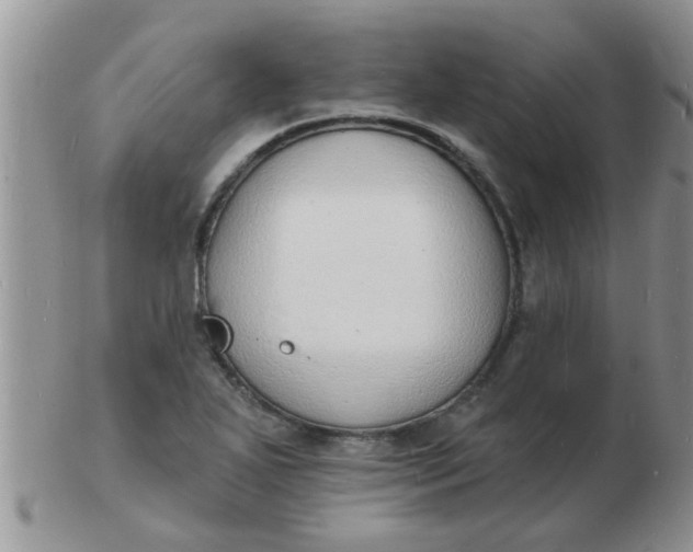 X0000103301271200809122022