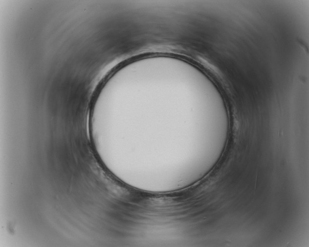 X0000103301272200809122022