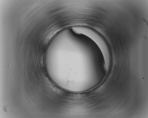 X0000103301273200809122022