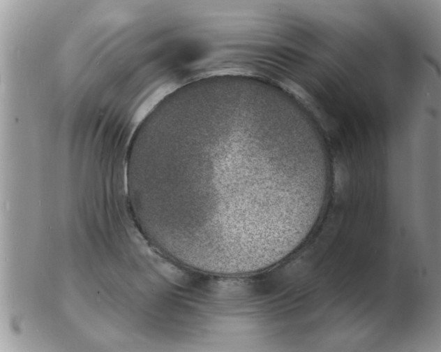 X0000103301274200809122022