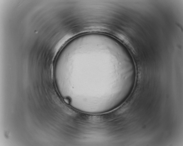 X0000103301275200809122022