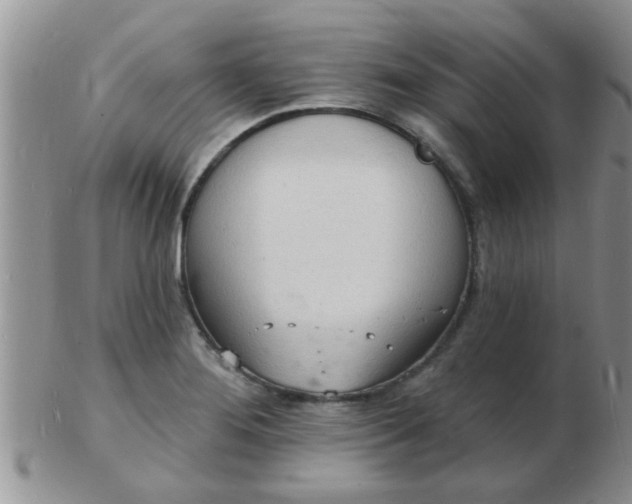 X0000103301276200809122022