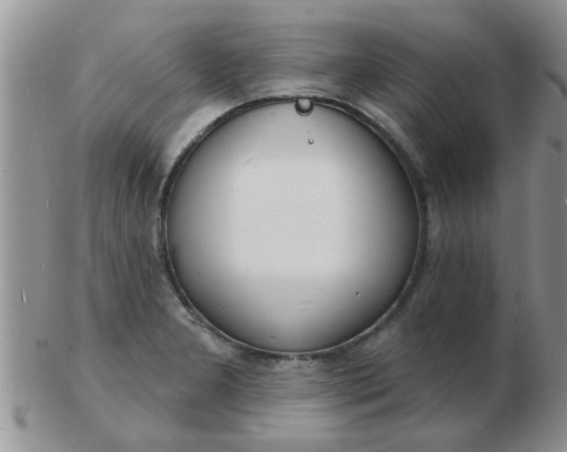 X0000103301277200809122022