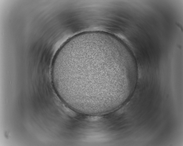 X0000103301278200809122022