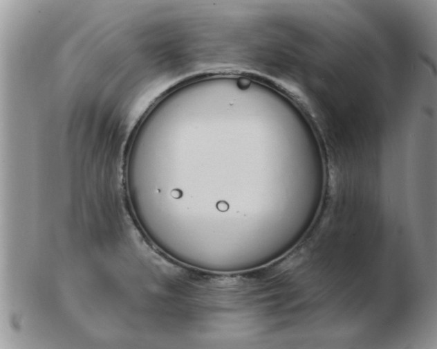 X0000103301279200809122022