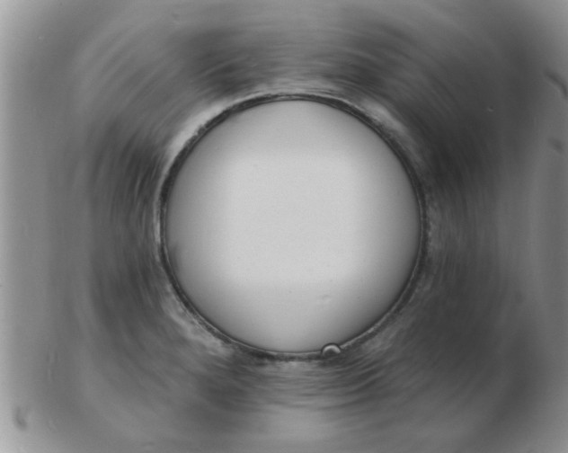 X0000103301280200809122022