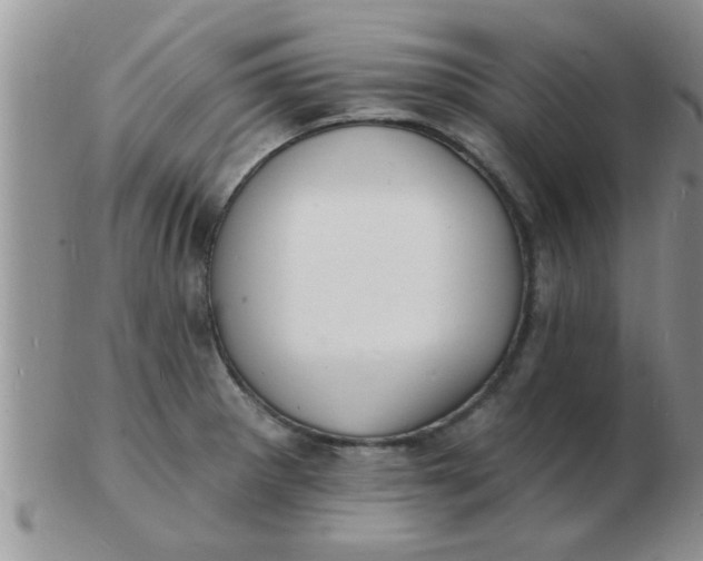 X0000103301281200809122022