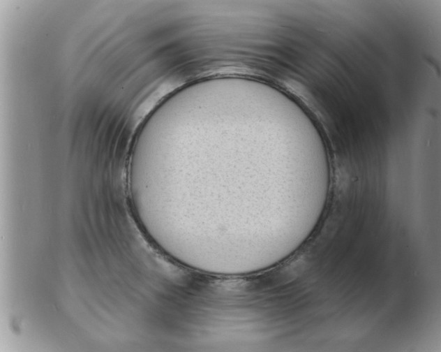 X0000103301282200809122022