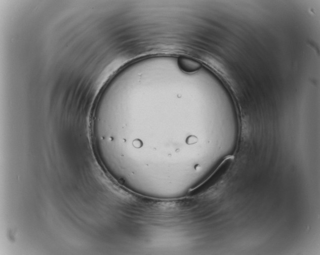 X0000103301283200809122021