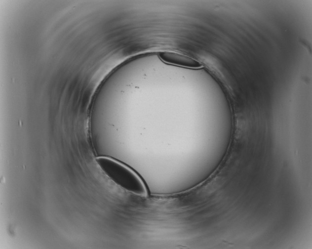 X0000103301284200809122021