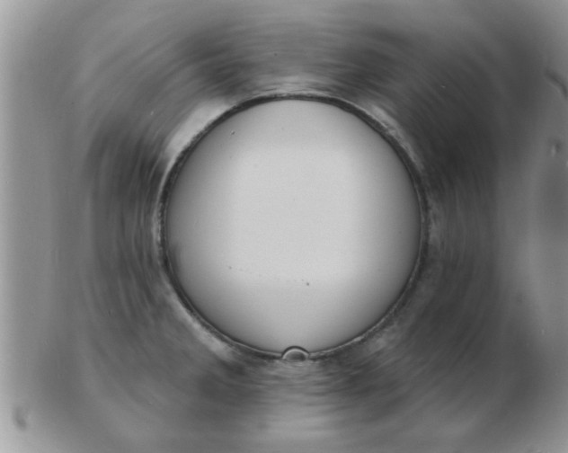 X0000103301285200809122021