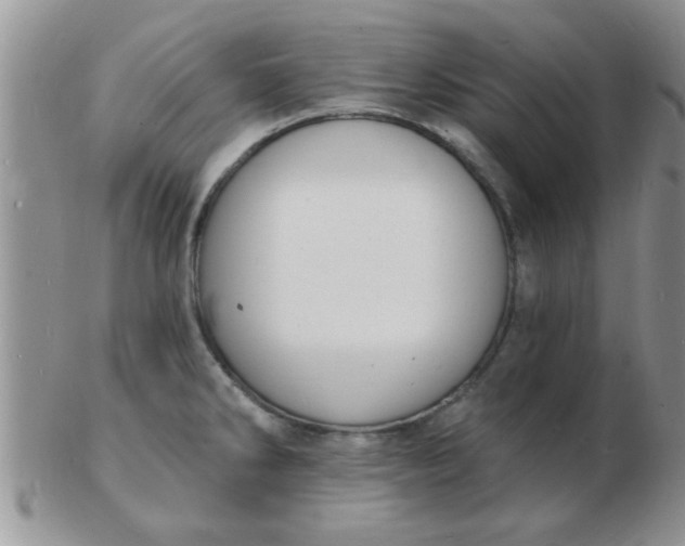 X0000103301286200809122021