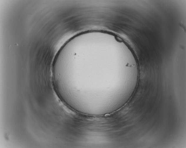 X0000103301287200809122021