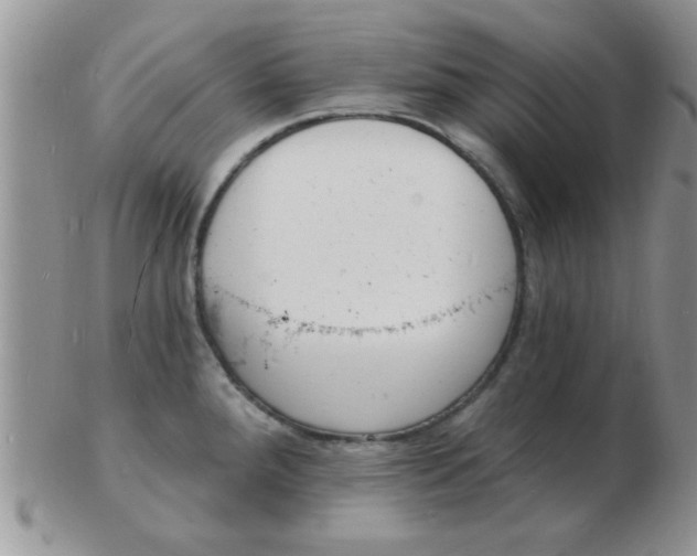 X0000103301288200809122021