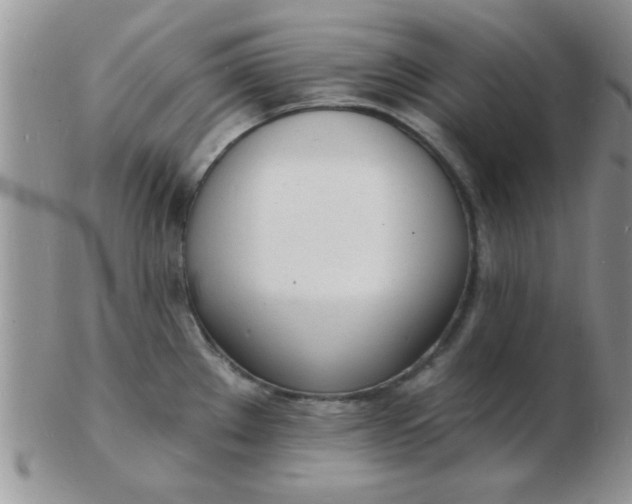 X0000103301289200809122021