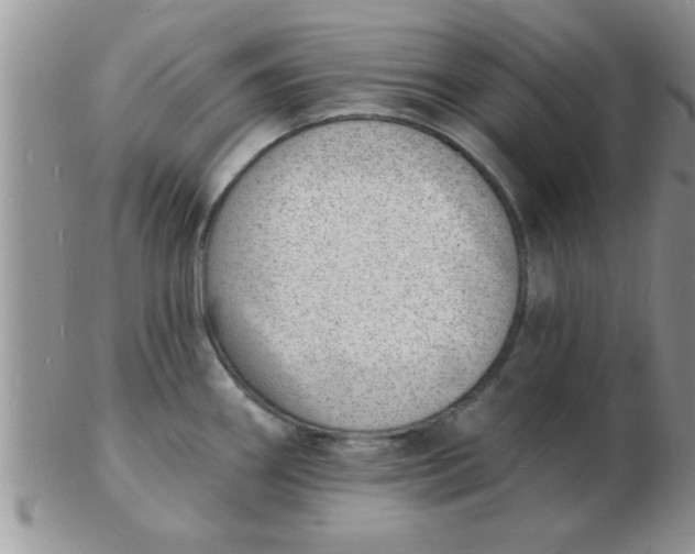 X0000103301290200809122021