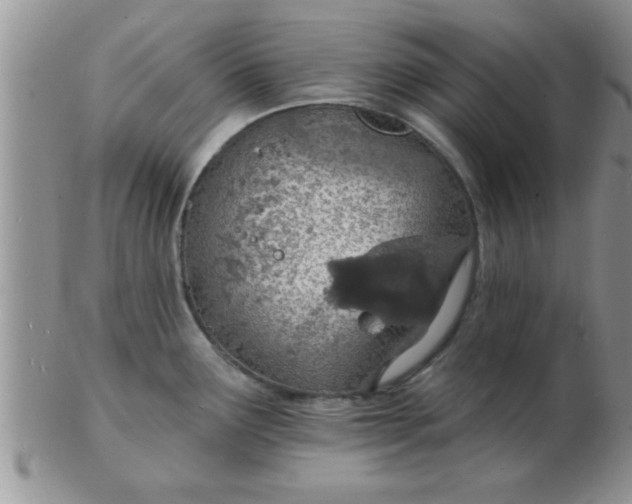 X0000103301291200809122021